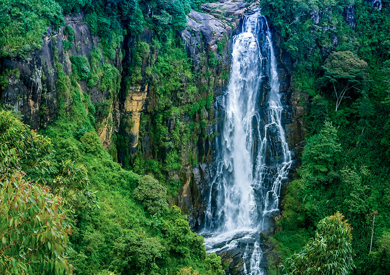 Sri Lankan Odyssey – Nuwara Eliya 2