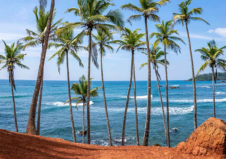 LAYER-NAME_0000_Famous-Coconut-Tree-Hill-in-Mirissa,-Sri-Lanka-Beach-next-to-the-Indian-Ocean