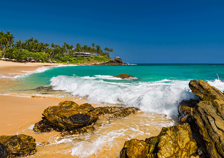 Untitled-2-Recovered_0001_tropical-beach-with-palm-trees-sri-lanka-tourist-2021-08-26-19-00-38-utc