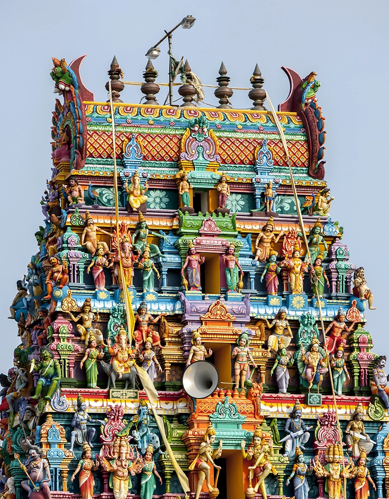 Sri Lankan Odyssey – Sri Lanka Tour – Discovering The North